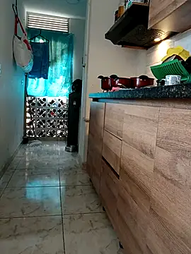 LEIRIS_Y_FRED_01 webcam