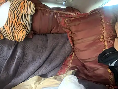 SlimeCrownzOut5 webcam