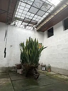 oliver_price1 webcam