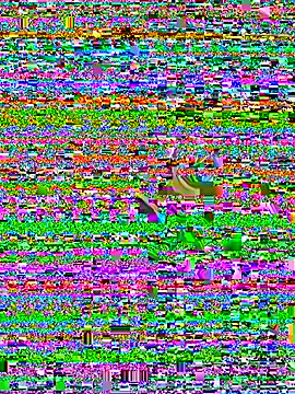 Michael_Junior20 webcam