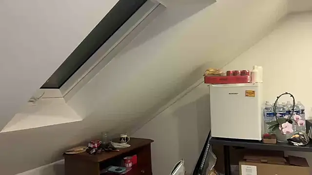 ClaireDeLunee webcam