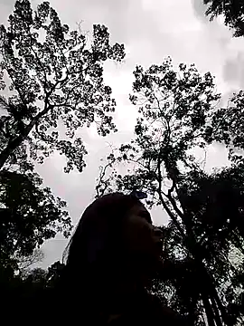 dulcelatin21 Live Webcam on Stripchat