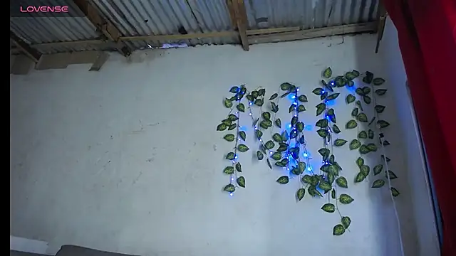 Shanon_hughess webcam