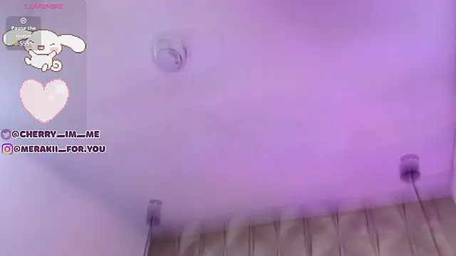 meraki_fraise webcam