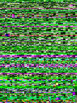 Alaska_euphoria webcam