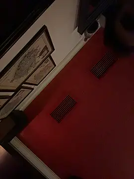 Ninabigtitied webcam