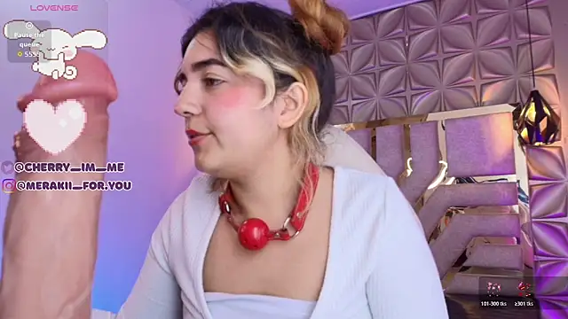 meraki_fraise webcam