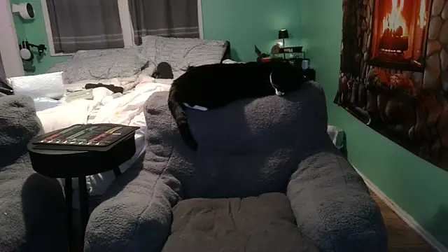 versatilevortex webcam