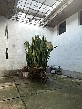 oliver_price1 webcam