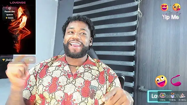 Dancelwashington webcam