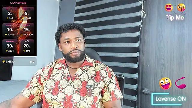 Dancelwashington webcam