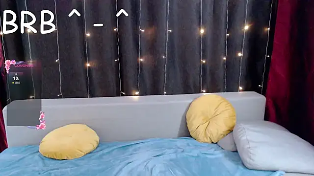 evan_reinhart webcam