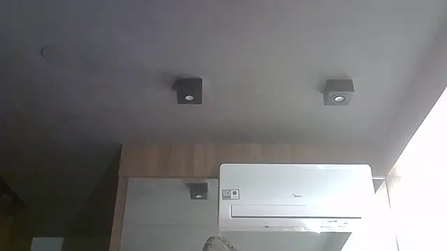 SkinnyKitten webcam