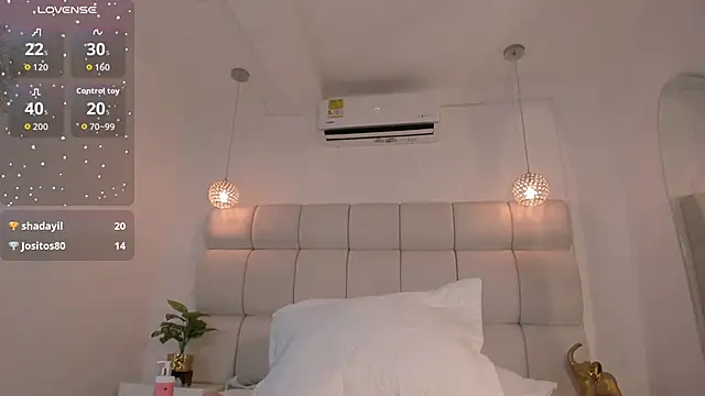 Alexa_Handler webcam