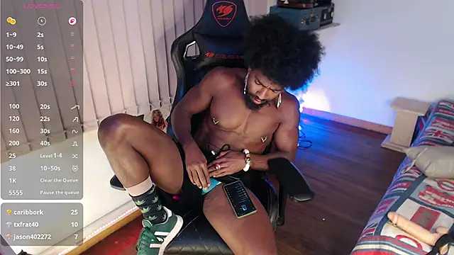 Siriss_boyrag webcam