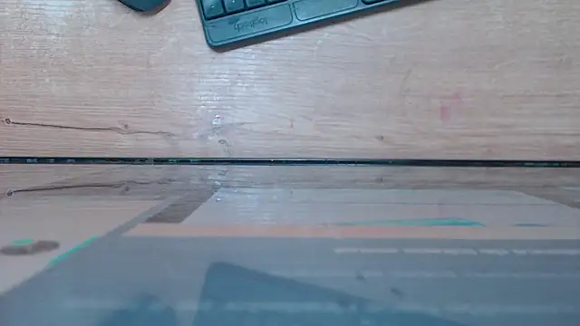 Madison_Copers webcam