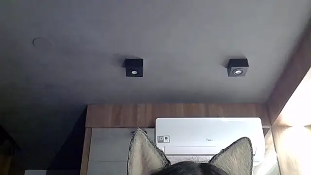 SkinnyKitten webcam