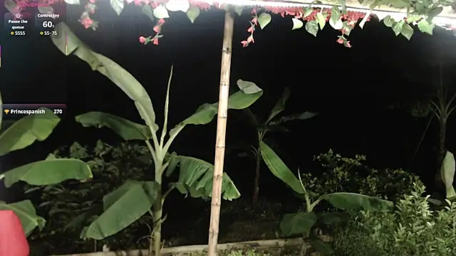 andreu_mature webcam