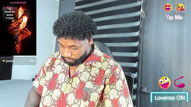 Dancelwashington webcam