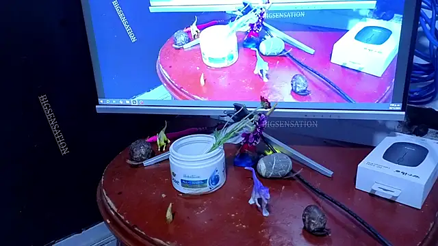 big_sensation_21s webcam