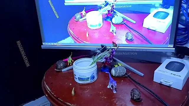 big_sensation_21s webcam