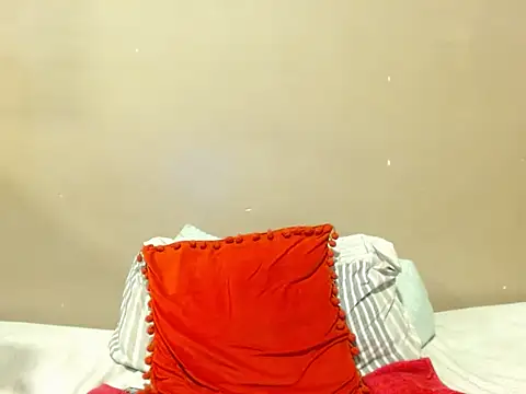 champaigncork webcam