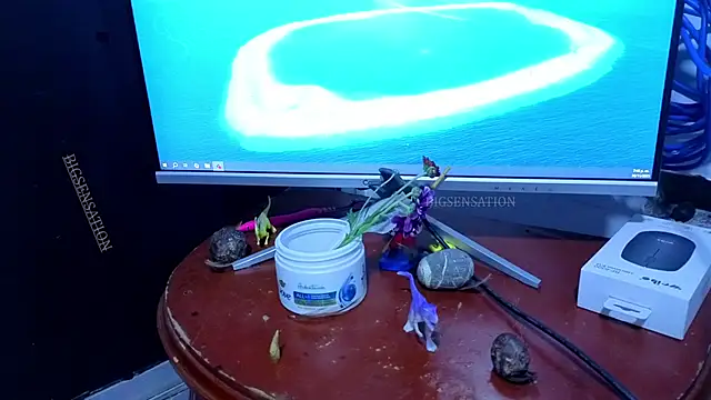 big_sensation_21s webcam