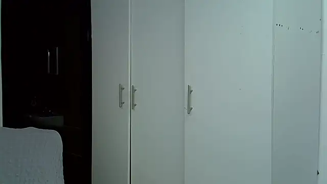 HipsDontLieX95 webcam