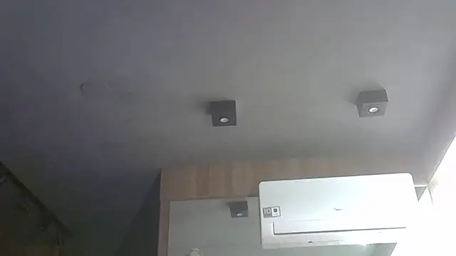 SkinnyKitten webcam