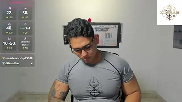 Colton_Massif webcam