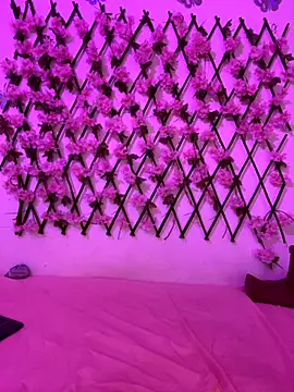 Dominic_Schmit01 webcam