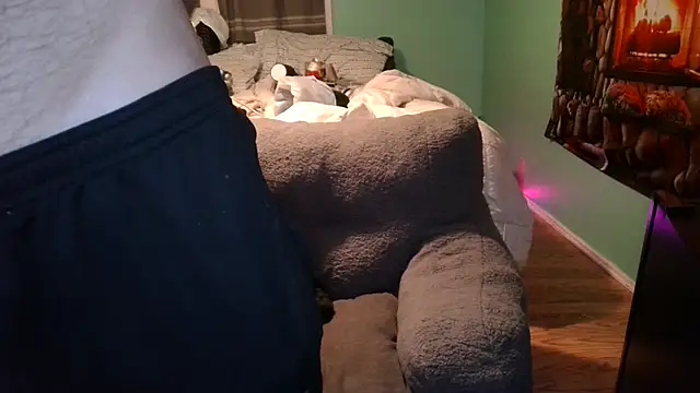 versatilevortex webcam