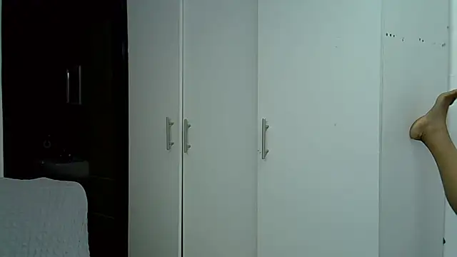 HipsDontLieX95 webcam