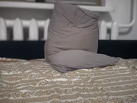 ShizukuHunter webcam