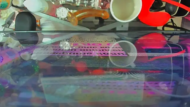 EricaAndPenelopa webcam