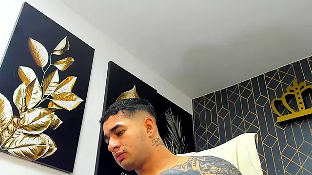 king_falconer webcam