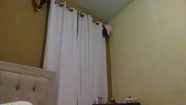 pnpexposurecam webcam