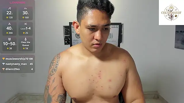 Colton_Massif webcam