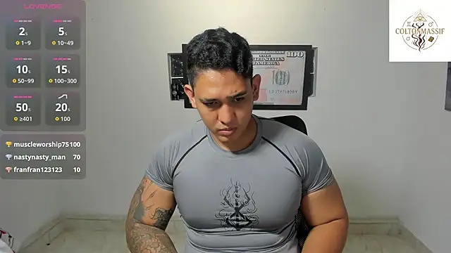 Colton_Massif webcam