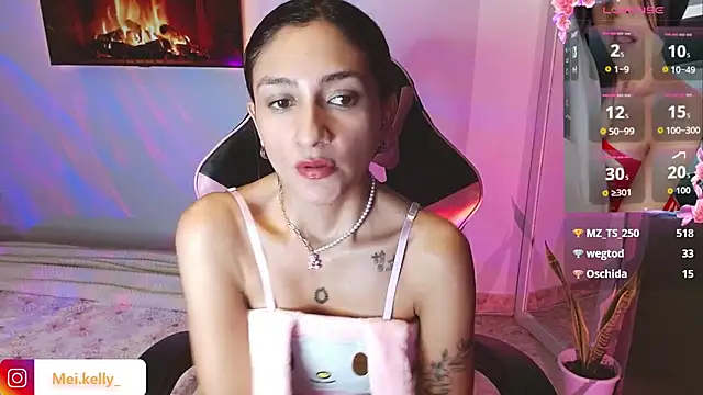 Mei_Kelly webcam