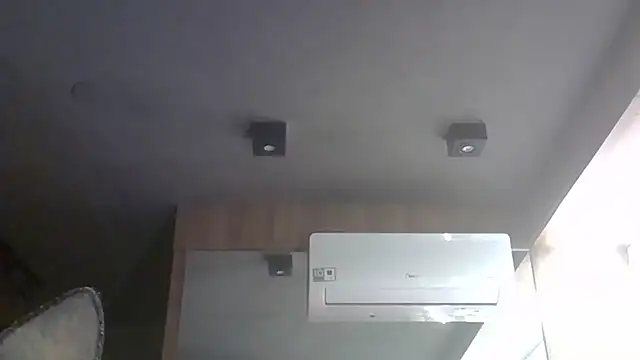 SkinnyKitten webcam