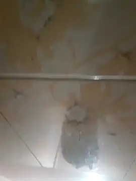 Pyasi_Bhabhi_90 webcam