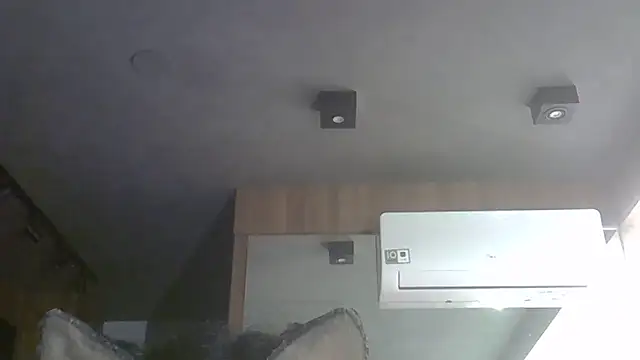 SkinnyKitten webcam