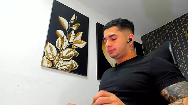 king_falconer webcam