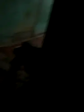 dirty-mother34 webcam