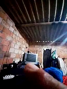 lavancaafiada webcam