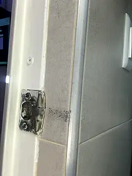 ArianaReynoldss webcam