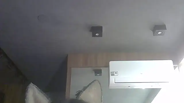 SkinnyKitten webcam
