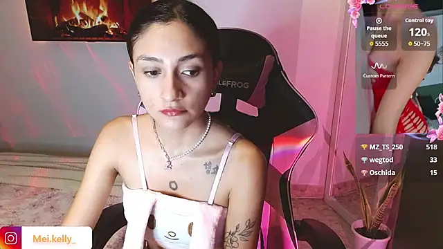 Mei_Kelly webcam