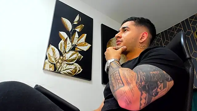 king_falconer webcam